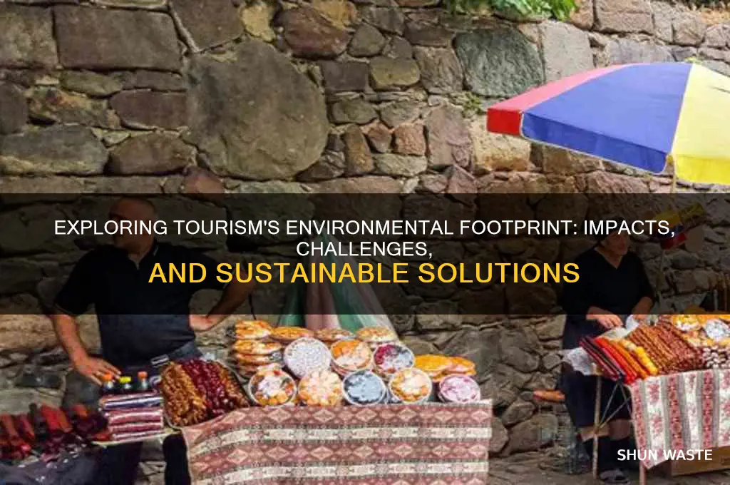 how does tourism impact the environment