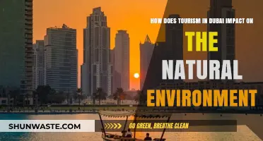 Dubai's Tourism Boom: Environmental Costs and Conservation Challenges