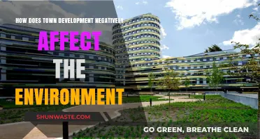 Urban Expansion's Dark Side: Environmental Costs of Town Development