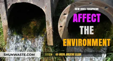 Toxaphene's Environmental Impact: Pollution, Wildlife Threats, and Ecosystem Disruption