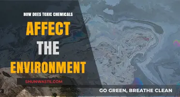 Toxic Chemicals' Devastating Impact on Ecosystems and Environmental Health