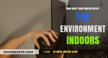 Toxic Molds Indoors: Environmental Impacts and Health Risks Explained