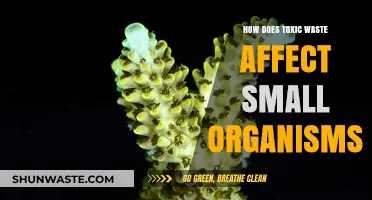 Toxic Waste's Devastating Impact on Small Organisms: A Hidden Crisis