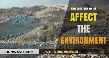 Toxic Waste's Devastating Impact on Ecosystems and Environmental Health