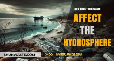 Toxic Waste's Devastating Impact on Our Hydrosphere: Causes and Consequences
