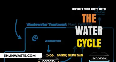Toxic Waste's Impact: Disrupting the Water Cycle and Ecosystems