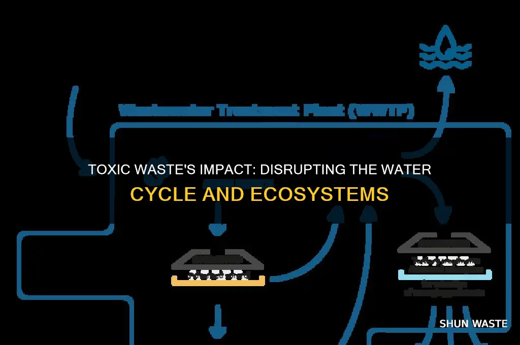 how does toxic waste affect the water cycle