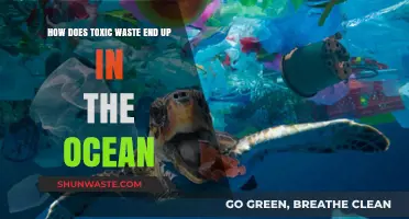 How Toxic Waste Reaches Our Oceans: Sources and Pathways Explained