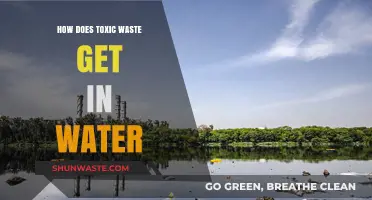 Toxic Waste in Water: Sources, Impact, and Prevention Strategies