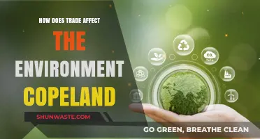 Trade's Environmental Impact: Exploring Copeland's Insights on Sustainability