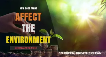 Trade's Environmental Impact: Balancing Global Commerce and Ecological Sustainability