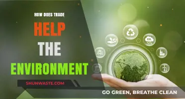 Sustainable Trade: Boosting Economies While Protecting Our Planet's Future