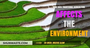 Traditional Farming's Environmental Impact: Challenges and Sustainable Solutions