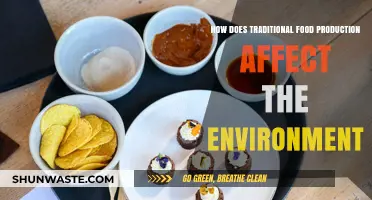 Traditional Food Production's Environmental Impact: Sustainability Challenges and Solutions