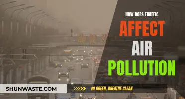 Traffic's Impact: Air Pollution and Its Causes