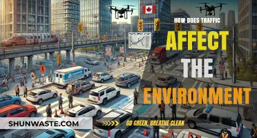 Traffic's Environmental Impact: Pollution, Climate Change, and Ecosystem Disruption Explained