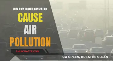 Traffic Congestion: A Recipe for Air Pollution