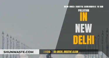 Traffic's Impact: Delhi's Air Pollution Crisis