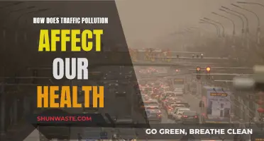 Traffic Pollution: Impacting Our Health and Wellbeing