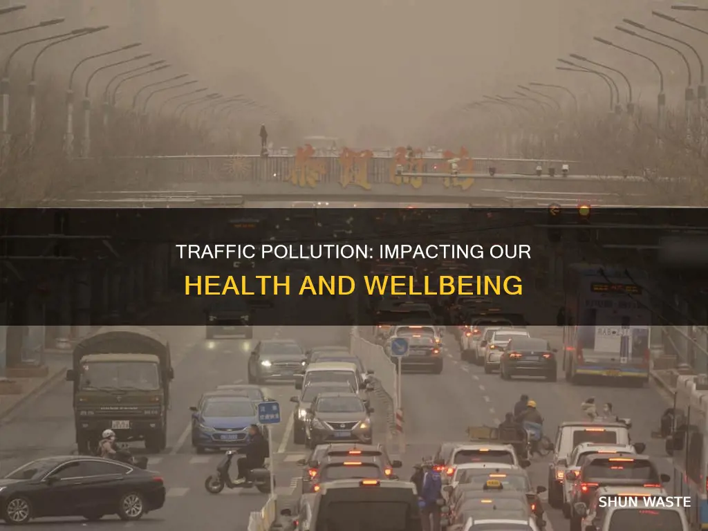 how does traffic pollution affect our health