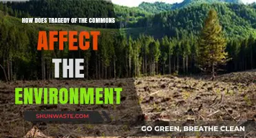 Tragedy of the Commons: Environmental Consequences and Sustainable Solutions