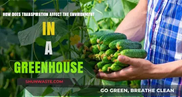 Transpiration's Impact: Shaping Greenhouse Environments and Sustainability