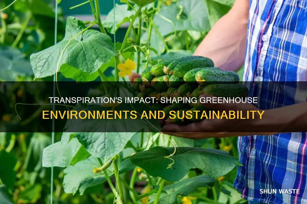 how does transpiration affect the environment in a greenhouse