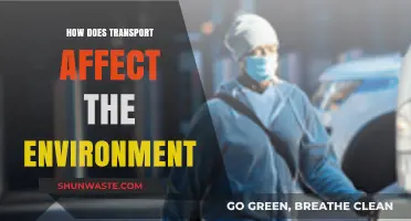 Transport's Environmental Impact: Exploring Emissions, Pollution, and Sustainability Solutions