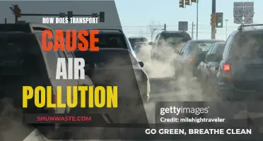 The Hidden Cost of Transportation: How It Contributes to Air Pollution