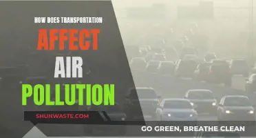 Transportation's Impact on Air Pollution: A Complex Relationship