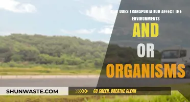 Transportation's Impact: Environmental Changes and Organism Adaptations Explored