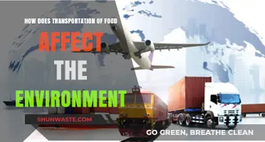 Food Miles and Environmental Impact: Uncovering Transportation's Hidden Costs