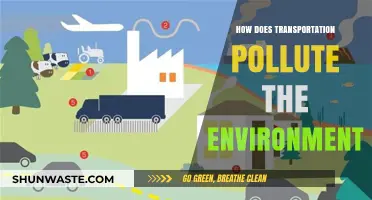 Transportation's Environmental Impact: Pollution and Solutions