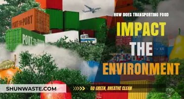 Food Miles and Environmental Impact: The Hidden Costs of Transporting Food