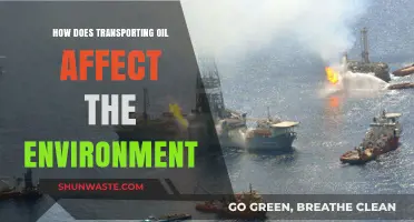 Oil Transportation's Environmental Impact: Pollution, Ecosystems, and Climate Change