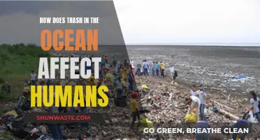 Ocean Trash: Impacting Human Health and Environment