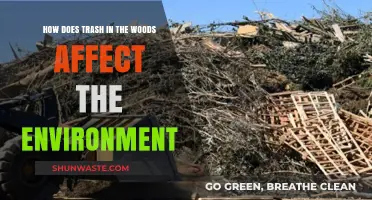 Trash in the Woods: Environmental Impacts and Ecosystem Destruction Explained