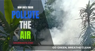 Trash's Impact: Air Pollution and Its Devastating Effects