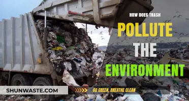 Trash Impacts: Environmental Pollution and Its Causes