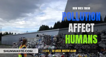 Trash Pollution: Harming Humans, Destroying Lives