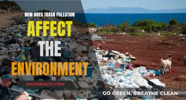 Trash Pollution: Environmental Impact and Devastating Effects