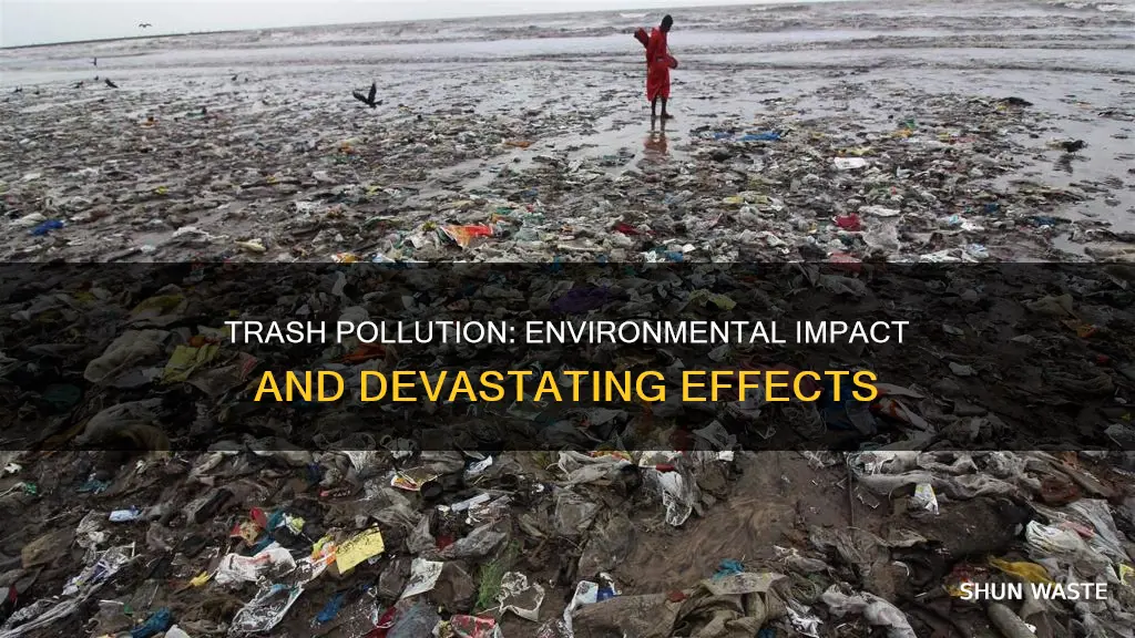 how does trash pollution affect the environment