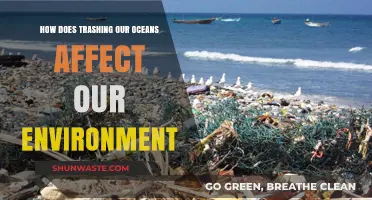 Ocean Trash Crisis: Devastating Impacts on Our Fragile Environment