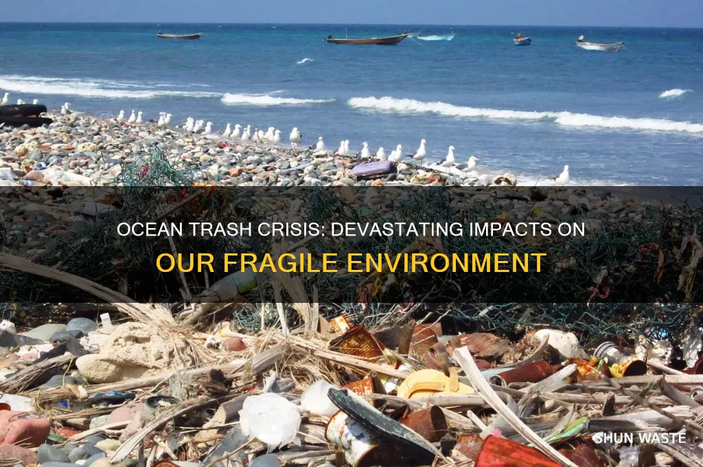 how does trashing our oceans affect our environment