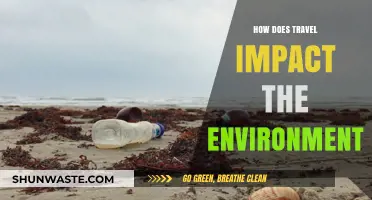 Exploring Travel's Environmental Footprint: Impacts, Challenges, and Sustainable Solutions