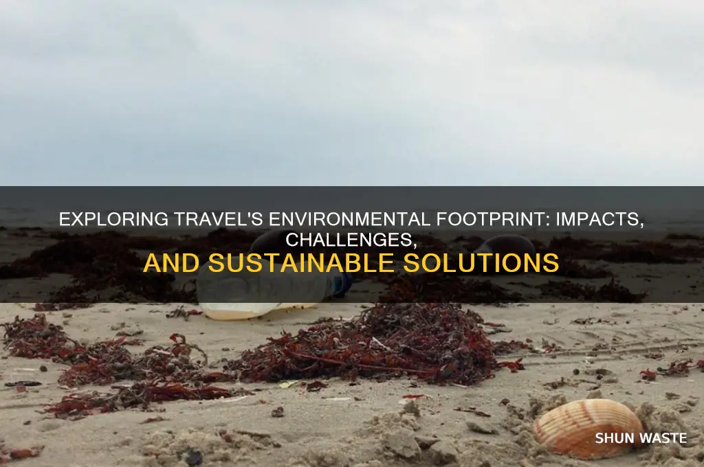 how does travel impact the environment