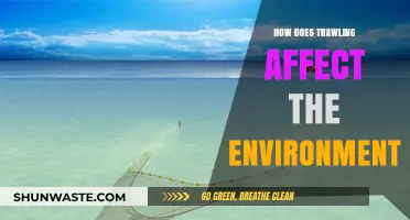 Trawling's Environmental Impact: Destructive Fishing Practices and Ecosystem Consequences