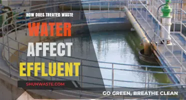 Treated Wastewater's Impact on Effluent Quality and Environmental Health