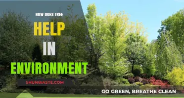 Trees: Nature's Lifeline for a Healthier, Greener Environment