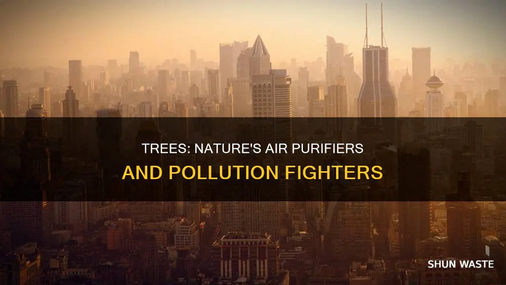 how does trees prevent air pollution